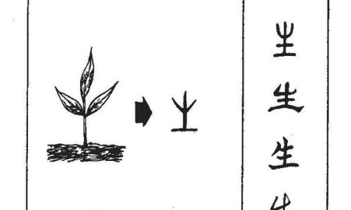 子宫内膜息肉的出血特点症状专区_子宫内膜息肉的症状及危害专区_子宫内膜息肉症状有什么网